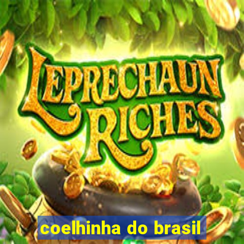 coelhinha do brasil